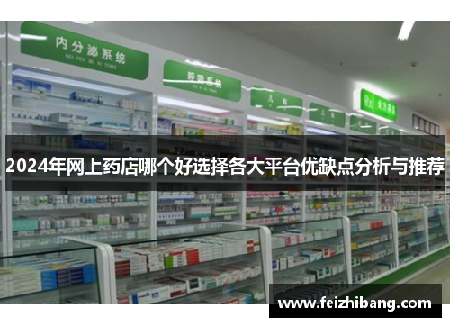 2024年网上药店哪个好选择各大平台优缺点分析与推荐